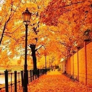 Meet your Posher, Sandy